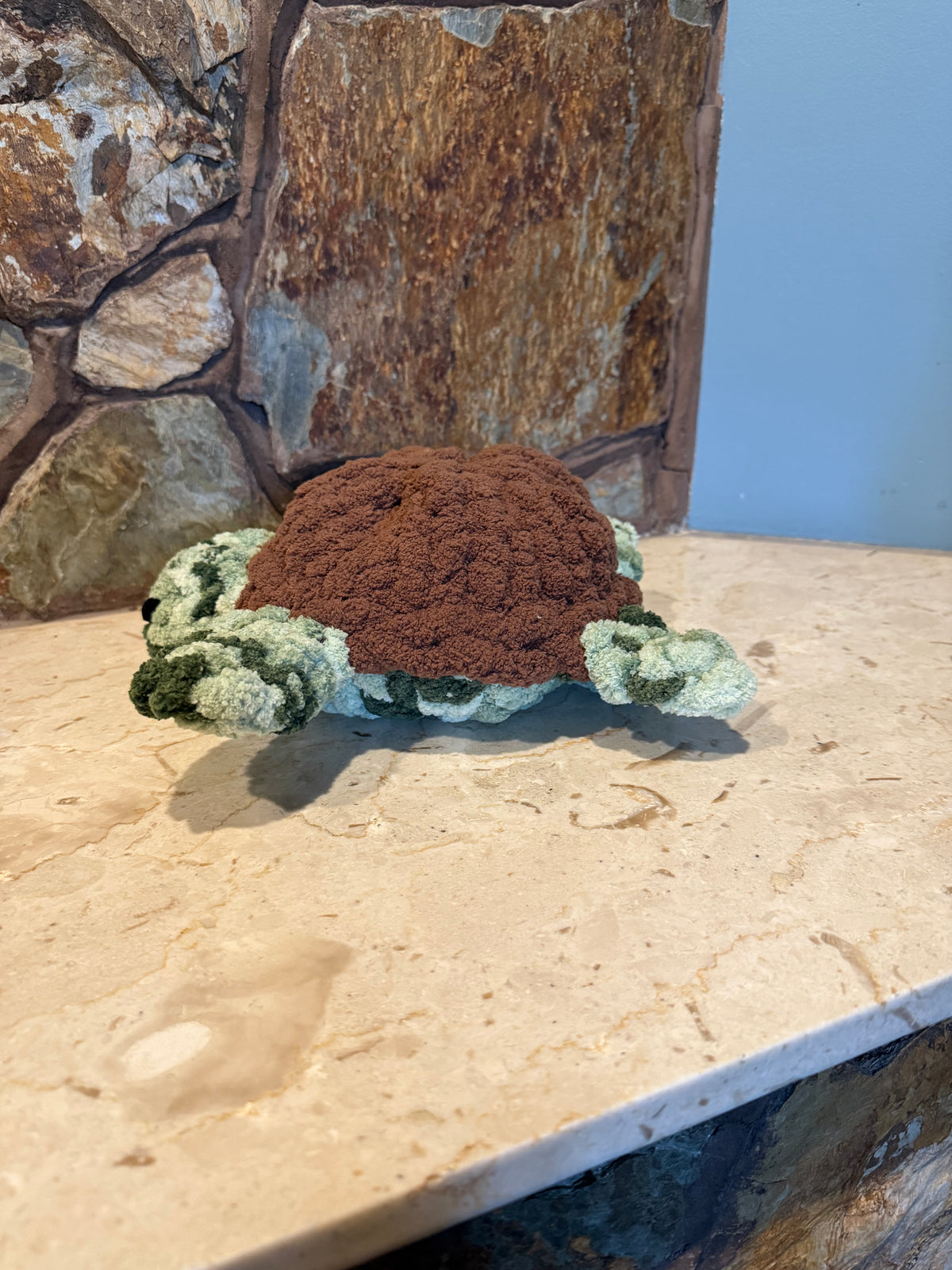 Shelly, The Sea Turtle