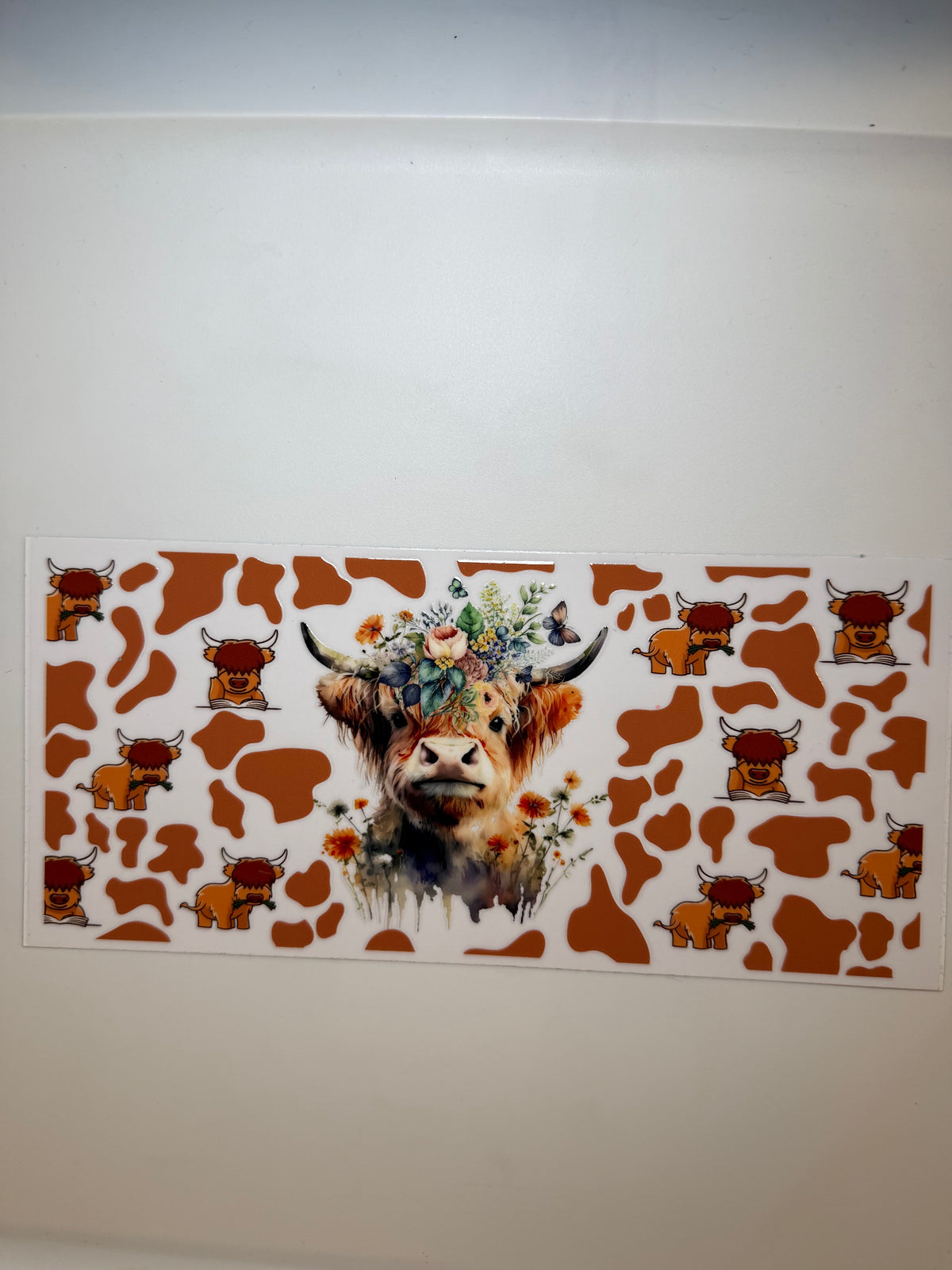 Highland cow