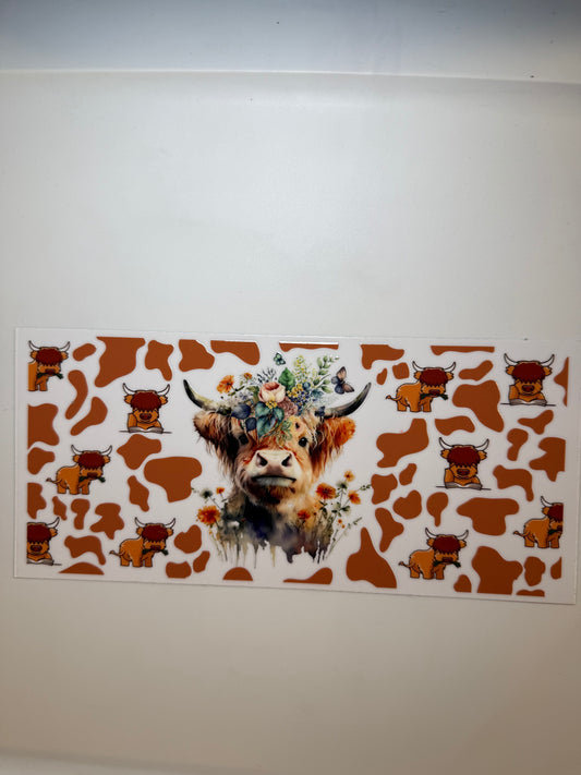 Highland cow