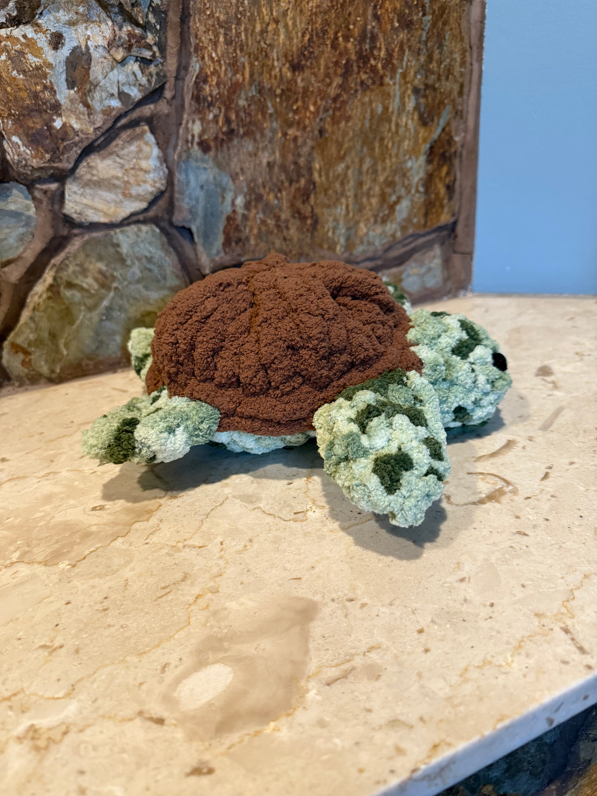 Shelly, The Sea Turtle